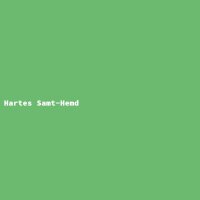 Hartes Samt-Hemd